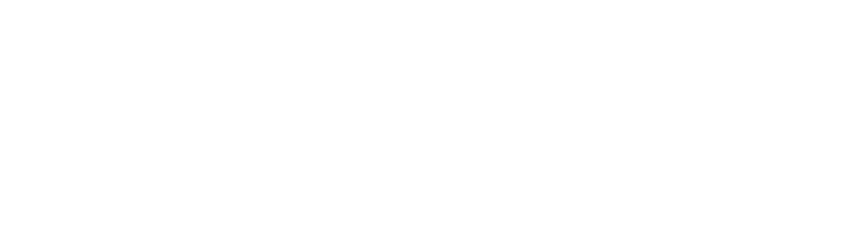 RokkerX